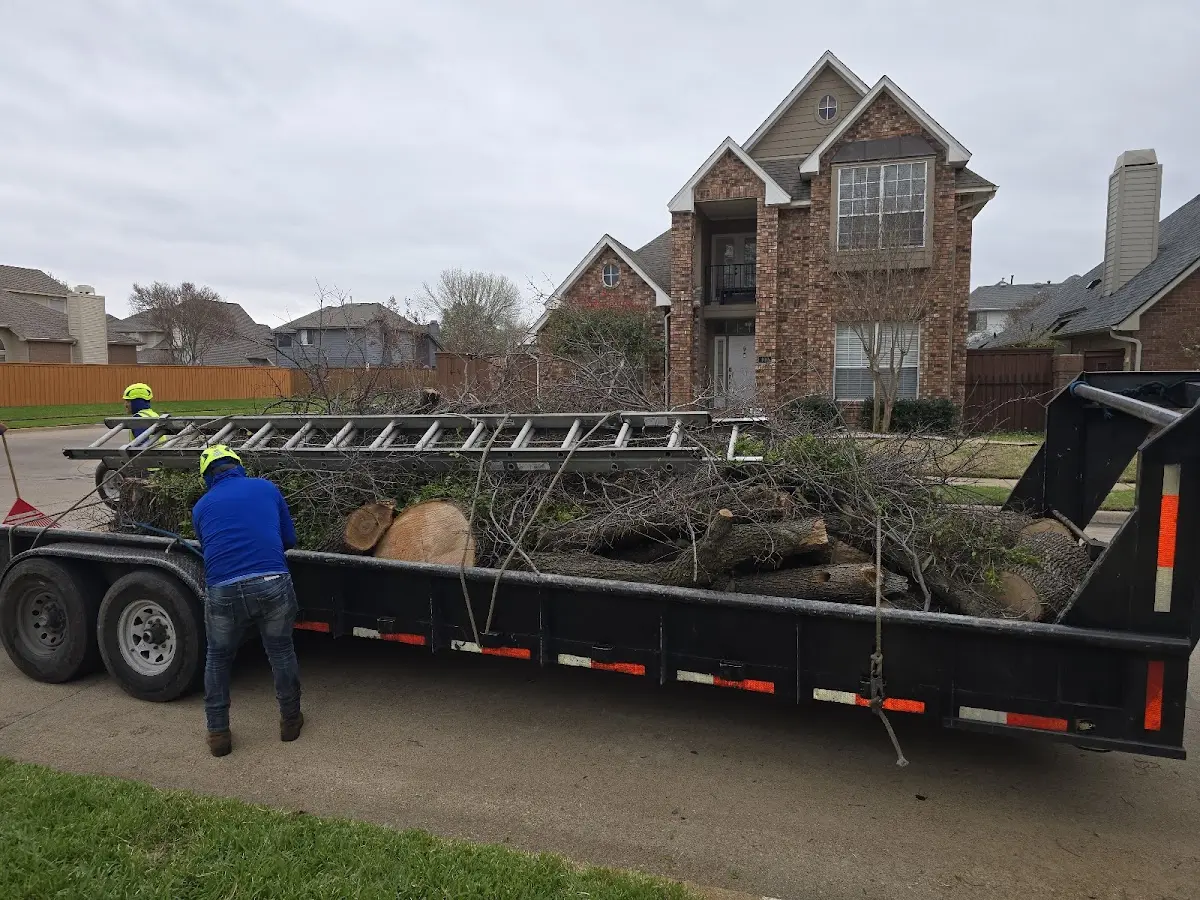 Expert Lot Clearing with proper safety equipment in Farnam